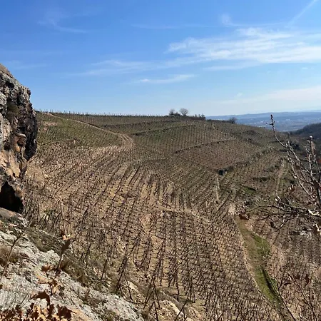 Ferienhaus Au Coeur Des Vignes *