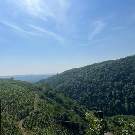 Ferienhaus Au Coeur Des Vignes *