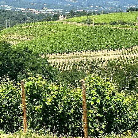 Au Coeur Des Vignes * Malleval